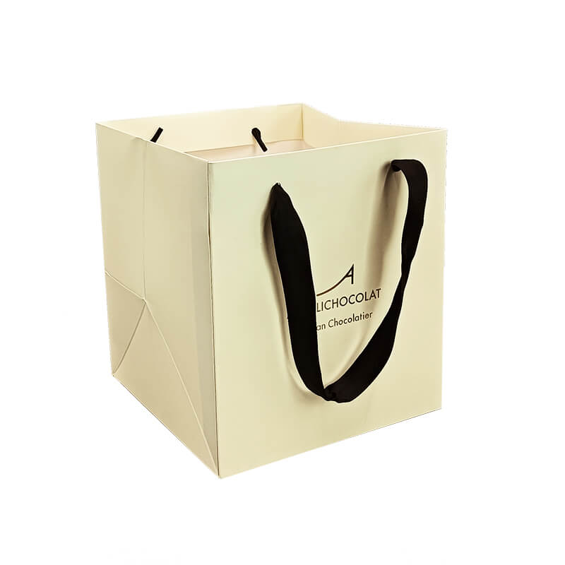 Custom paper bag style 02